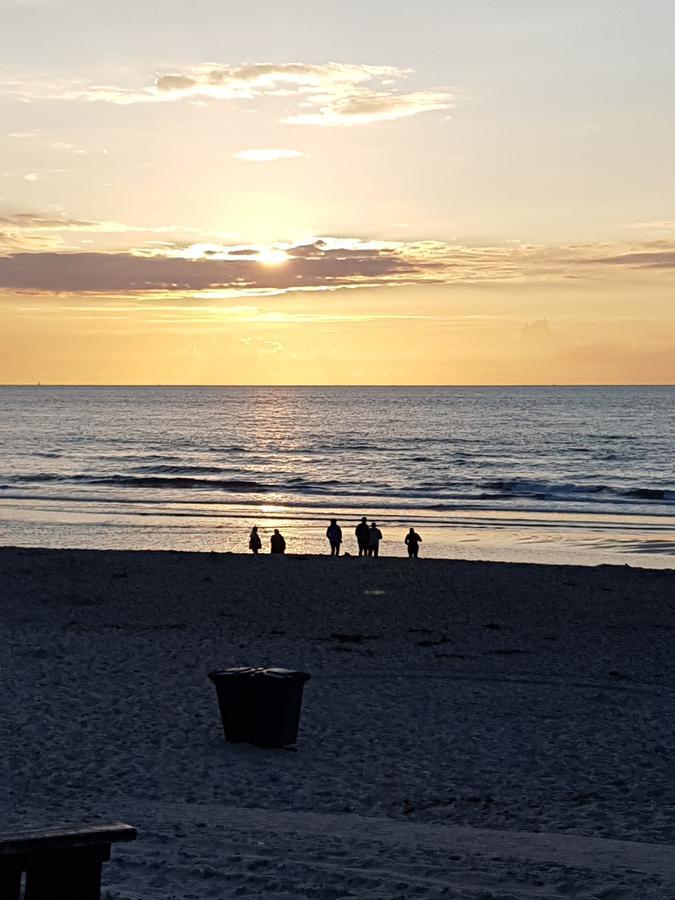 B&B Duinroos De Koog - Texel Zewnętrze zdjęcie